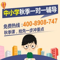 寧波培訓(xùn)小學(xué)三年級(jí)作文去學(xué)大教育是否值得？全面分析與收費(fèi)咨詢